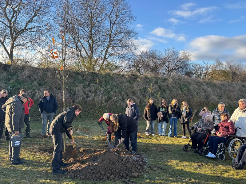 img_20251128_wa0001.jpg img_20251128_wa0001.jpg