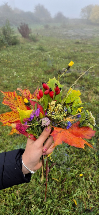 herbst3.jpg herbst3.jpg