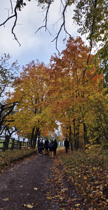 herbst_1.jpg herbst_1.jpg
