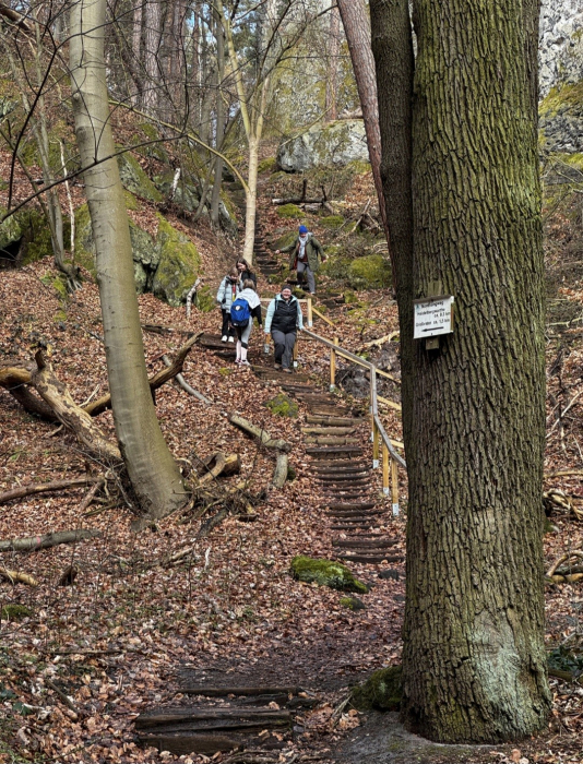 wandern1.jpg